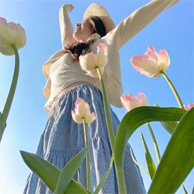 神探沙夫特